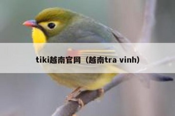 tiki越南官网（越南tra vinh）