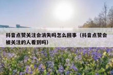 抖音点赞关注会消失吗怎么回事（抖音点赞会被关注的人看到吗）