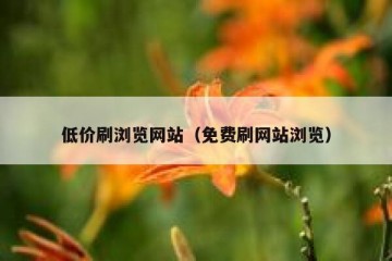 低价刷浏览网站（免费刷网站浏览）