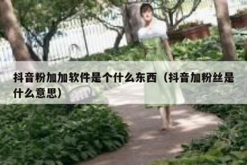抖音粉加加软件是个什么东西（抖音加粉丝是什么意思）