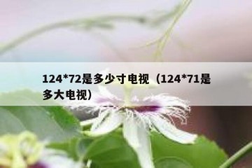124*72是多少寸电视（124*71是多大电视）