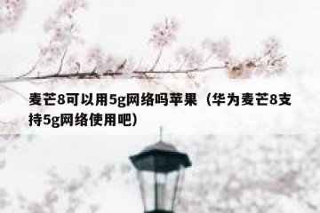 麦芒8可以用5g网络吗苹果（华为麦芒8支持5g网络使用吧）