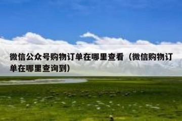 微信公众号购物订单在哪里查看（微信购物订单在哪里查询到）