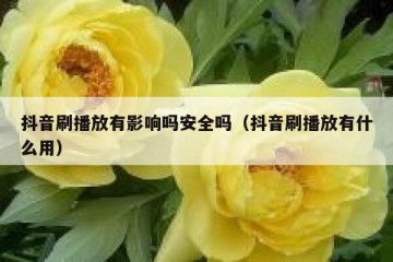 抖音刷播放有影响吗安全吗（抖音刷播放有什么用）