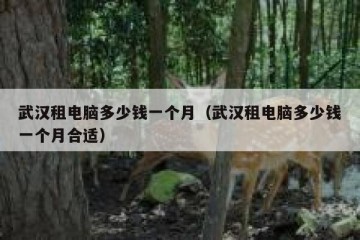 武汉租电脑多少钱一个月（武汉租电脑多少钱一个月合适）