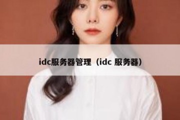 idc服务器管理（idc 服务器）