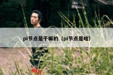 pi节点是干嘛的（pi节点是啥）