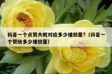 抖音一个点赞大概对应多少播放量?（抖音一个赞给多少播放量）