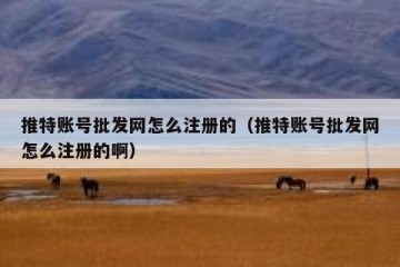 推特账号批发网怎么注册的（推特账号批发网怎么注册的啊）