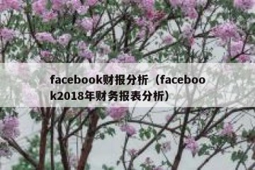 facebook财报分析（facebook2018年财务报表分析）