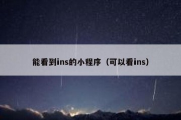 能看到ins的小程序（可以看ins）