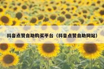 抖音点赞自助购买平台（抖音点赞自助网站）