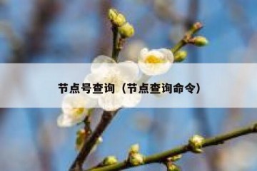 节点号查询（节点查询命令）