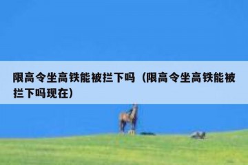 限高令坐高铁能被拦下吗（限高令坐高铁能被拦下吗现在）