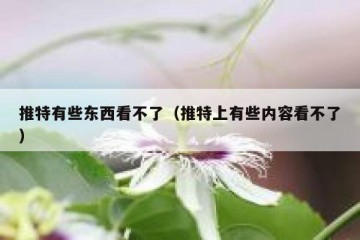 推特有些东西看不了（推特上有些内容看不了）