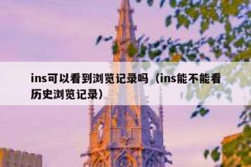 ins可以看到浏览记录吗（ins能不能看历史浏览记录）