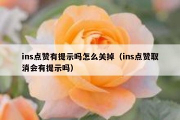 ins点赞有提示吗怎么关掉（ins点赞取消会有提示吗）