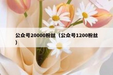 公众号20000粉丝（公众号1200粉丝）