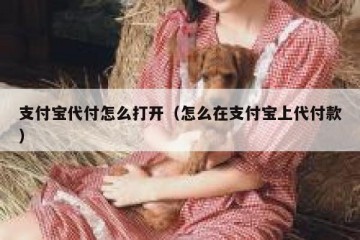 支付宝代付怎么打开（怎么在支付宝上代付款）