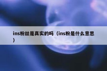 ins粉丝是真实的吗（ins粉是什么意思）