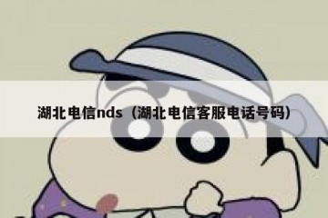 湖北电信nds（湖北电信客服电话号码）