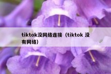 tiktok没网络连接（tiktok 没有网络）