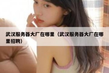 武汉服务器大厂在哪里（武汉服务器大厂在哪里招聘）