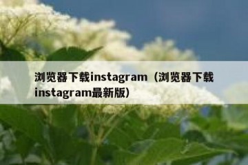 浏览器下载instagram（浏览器下载instagram最新版）