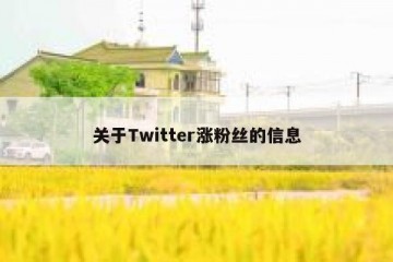 关于Twitter涨粉丝的信息