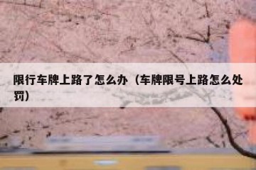 限行车牌上路了怎么办（车牌限号上路怎么处罚）