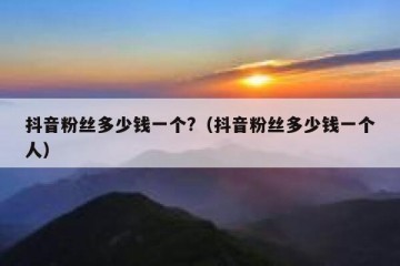 抖音粉丝多少钱一个?（抖音粉丝多少钱一个人）