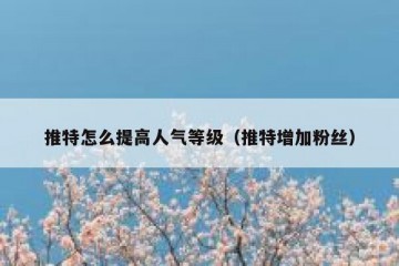 推特怎么提高人气等级（推特增加粉丝）