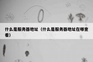 什么是服务器地址（什么是服务器地址在哪查看）