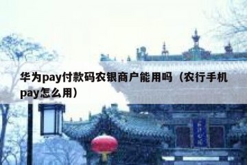 华为pay付款码农银商户能用吗（农行手机pay怎么用）