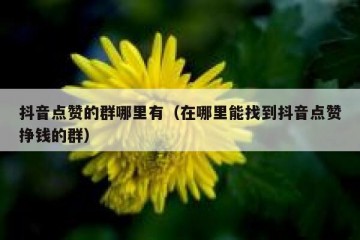 抖音点赞的群哪里有（在哪里能找到抖音点赞挣钱的群）