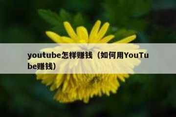 youtube怎样赚钱（如何用YouTube赚钱）