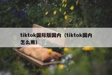 tiktok国际版国内（tiktok国内怎么用）