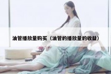 油管播放量购买（油管的播放量的收益）