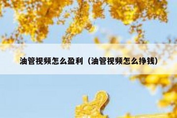 油管视频怎么盈利（油管视频怎么挣钱）
