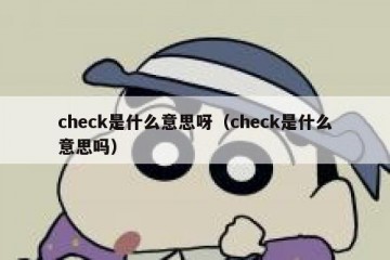 check是什么意思呀（check是什么意思吗）