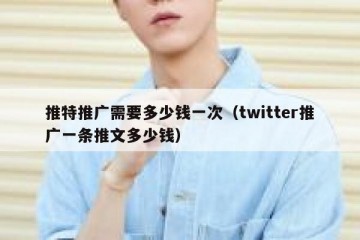 推特推广需要多少钱一次（twitter推广一条推文多少钱）