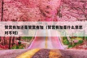 赞赏有加还是赞赏有加（赞赏有加是什么意思对不对）