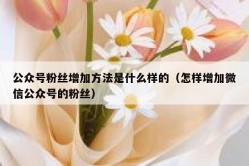 公众号粉丝增加方法是什么样的（怎样增加微信公众号的粉丝）