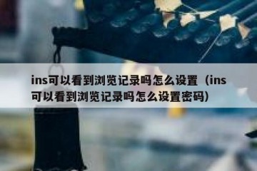 ins可以看到浏览记录吗怎么设置（ins可以看到浏览记录吗怎么设置密码）