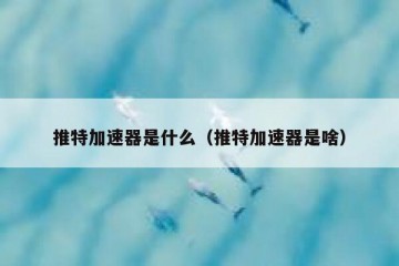 推特加速器是什么（推特加速器是啥）