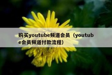 购买youtube频道会员（youtube会员频道付款流程）
