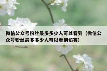 微信公众号粉丝最多多少人可以看到（微信公众号粉丝最多多少人可以看到访客）