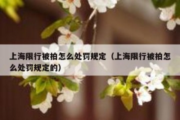 上海限行被拍怎么处罚规定（上海限行被拍怎么处罚规定的）