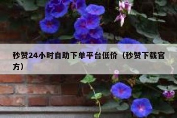 秒赞24小时自助下单平台低价（秒赞下载官方）