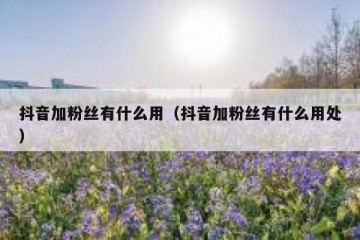 抖音加粉丝有什么用（抖音加粉丝有什么用处）